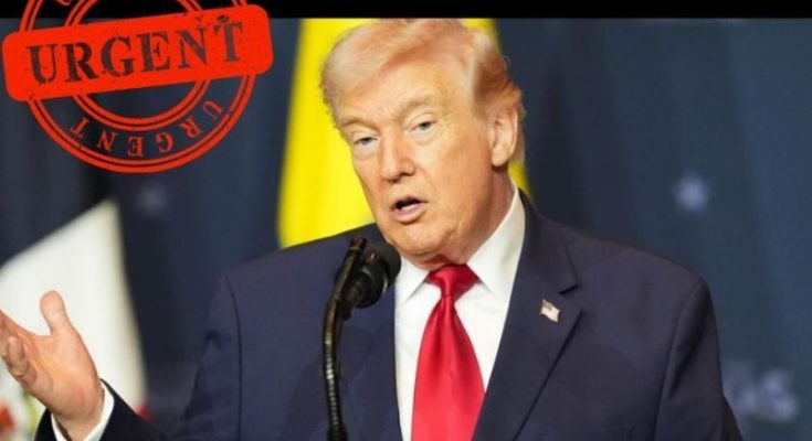 Trump energy loan cuts