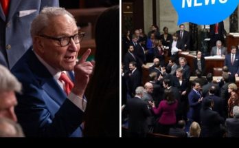 Chuck Schumer DHS funding