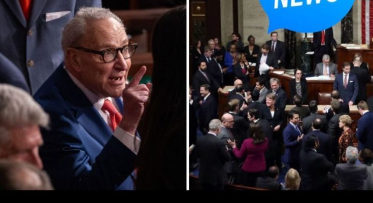 Chuck Schumer DHS funding