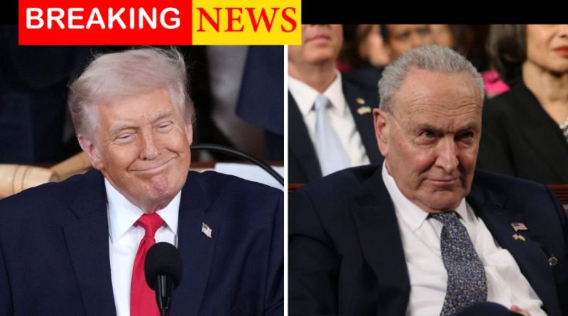 Trump Outsmarts Schumer Again Breaking News