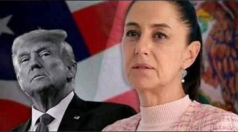 Trump and Tulsi Gabbard political portrait