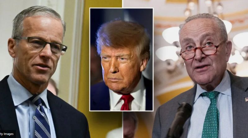 Trump between McConnell and Schumer