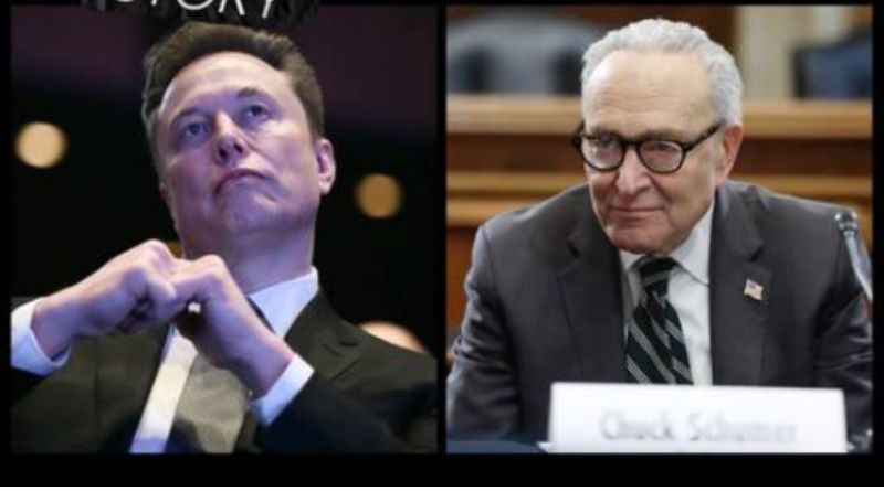 Musk Bombshell on Schumer Game-Changing Move