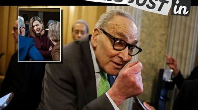 Schumer Shutdown 2.0: Democrat Caves to Trump