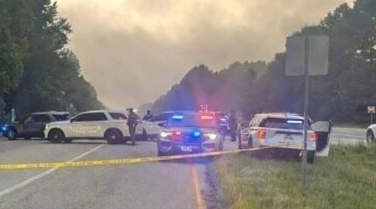 police vehicles at a highway scene with emergency lights flashing