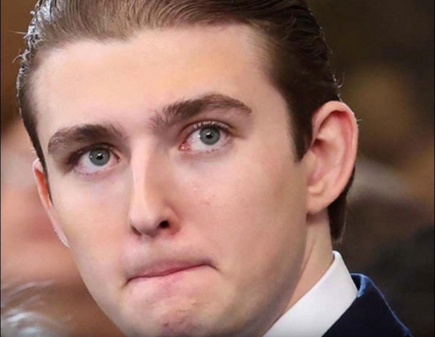 Barron Trump time traveler theory meme
