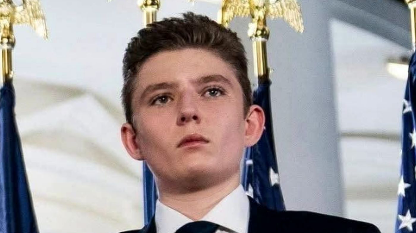 Barron Trump formal portrait with flags