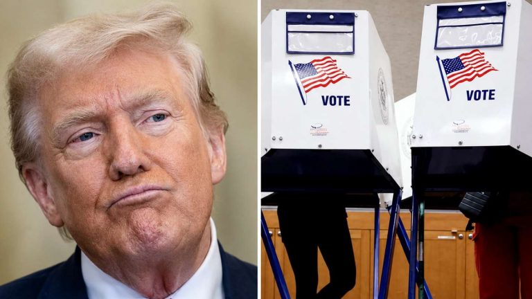 Donald Trump alongside American voting booths.