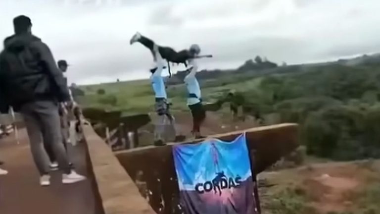 Acrobatic backflip stunt on concrete bridge ledge
