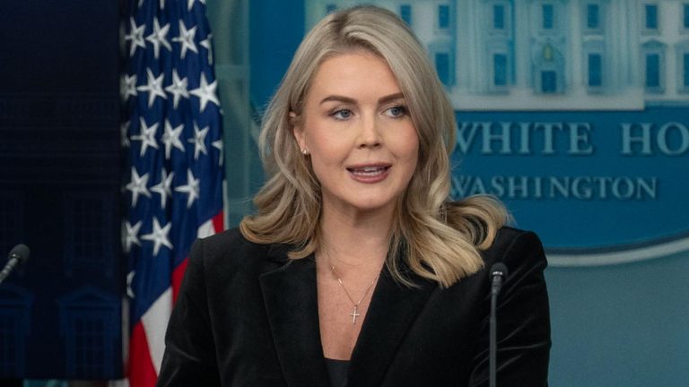 Leavitt Sets Media Straight With Fact-Check On Joe Biden