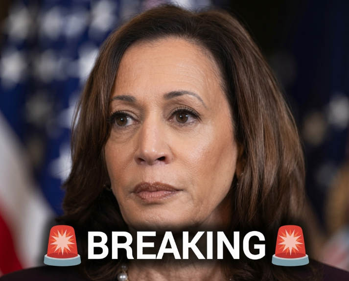 Liberal NY Times Columnist Blasts Democrats’ 2024 ‘Autopsy’ Of Harris Loss
