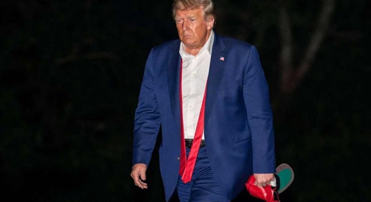 Late-Night Sighting: Trump Spotted With Mysterious Item